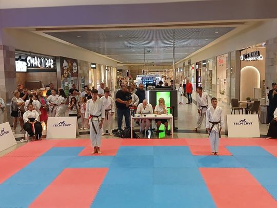 Zamość: Turniej karate tradycyjnego 4 YOSAI CUP [GALERIA ZDJĘĆ]