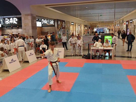 Zamość: Turniej karate tradycyjnego 4 YOSAI CUP [GALERIA ZDJĘĆ]
