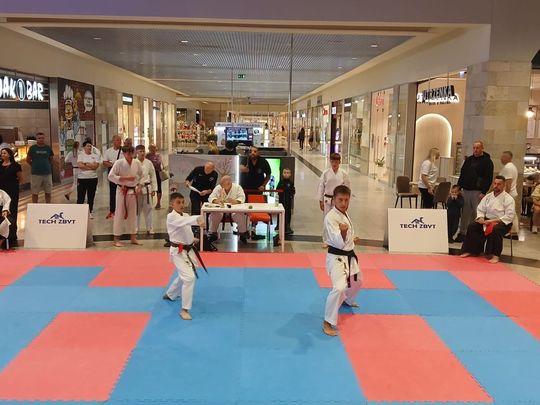 Zamość: Turniej karate tradycyjnego 4 YOSAI CUP [GALERIA ZDJĘĆ]