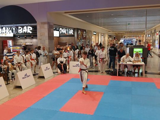 Zamość: Turniej karate tradycyjnego 4 YOSAI CUP [GALERIA ZDJĘĆ]
