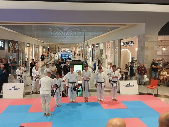 Zamość: Turniej karate tradycyjnego 4 YOSAI CUP [GALERIA ZDJĘĆ]