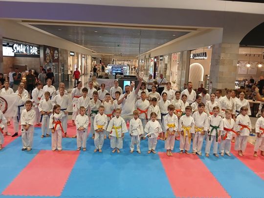 Zamość: Turniej karate tradycyjnego 4 YOSAI CUP [GALERIA ZDJĘĆ]