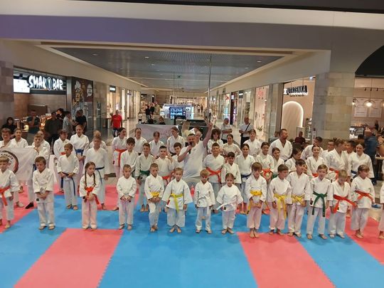Zamość: Turniej karate tradycyjnego 4 YOSAI CUP [GALERIA ZDJĘĆ]