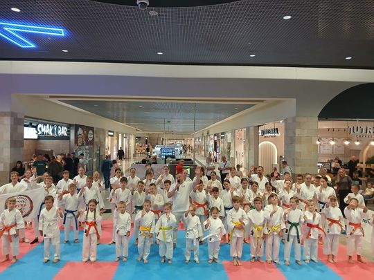 Zamość: Turniej karate tradycyjnego 4 YOSAI CUP [GALERIA ZDJĘĆ]