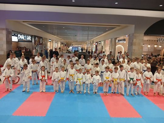 Zamość: Turniej karate tradycyjnego 4 YOSAI CUP [GALERIA ZDJĘĆ]