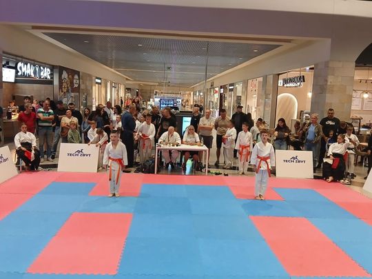 Zamość: Turniej karate tradycyjnego 4 YOSAI CUP [GALERIA ZDJĘĆ]