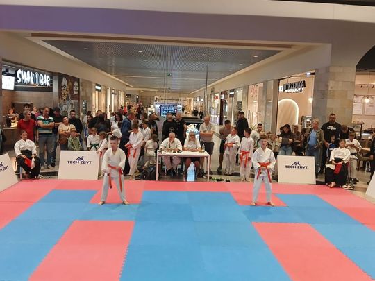 Zamość: Turniej karate tradycyjnego 4 YOSAI CUP [GALERIA ZDJĘĆ]