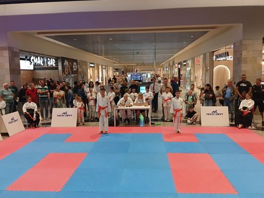 Zamość: Turniej karate tradycyjnego 4 YOSAI CUP [GALERIA ZDJĘĆ]