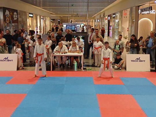 Zamość: Turniej karate tradycyjnego 4 YOSAI CUP [GALERIA ZDJĘĆ]
