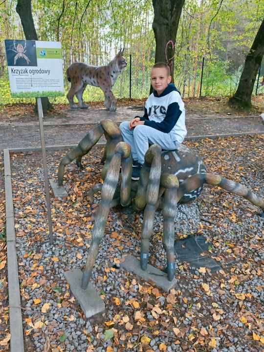 Dożynki gminy Zamość w Lipsku-Polesiu. Zobacz zdjęcia