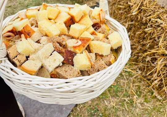 Powiatowe Święto Plonów w Telatynie [ZDJĘCIA]