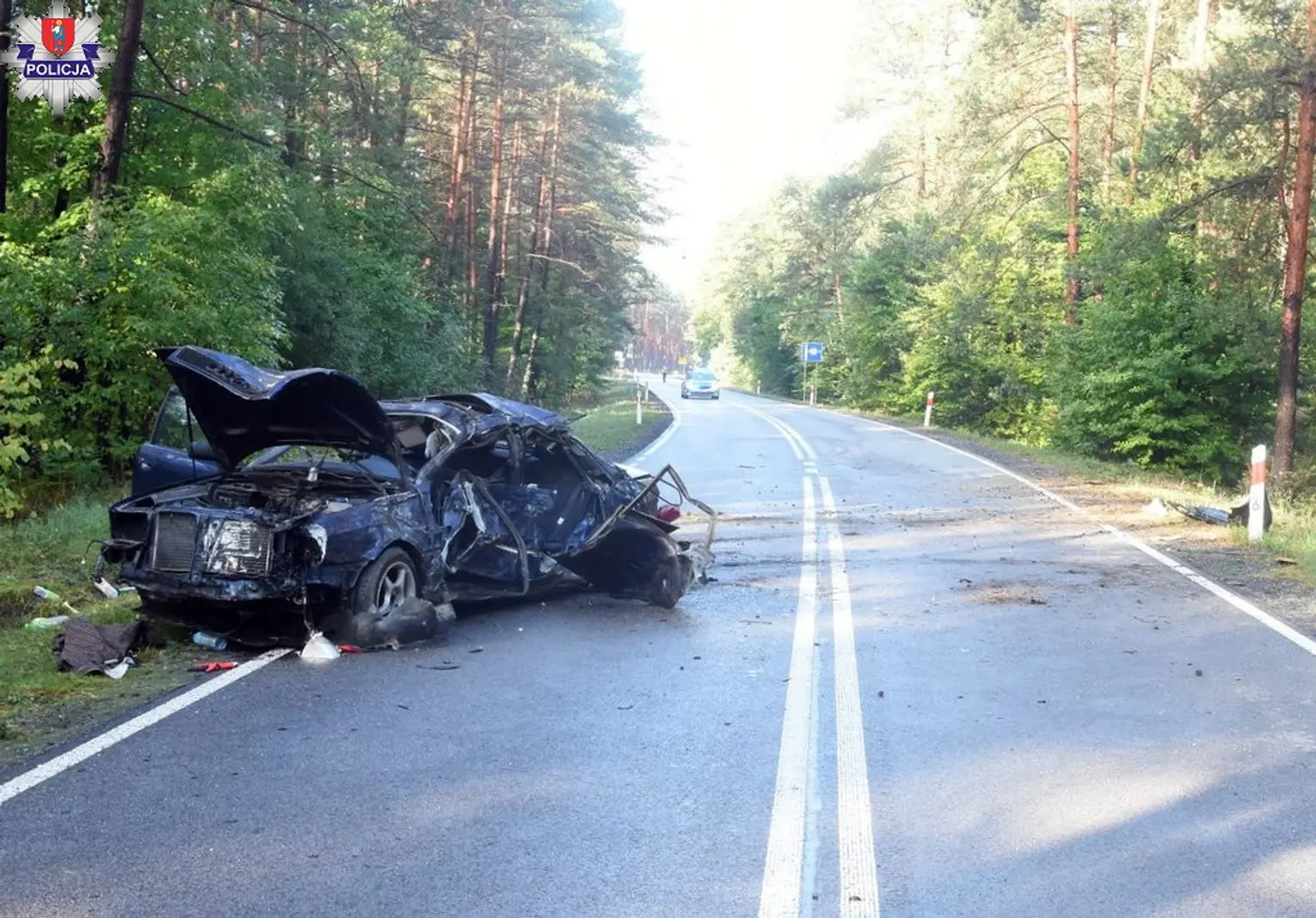 W Malewszczyźnie 20-letni kierowca Audi uderzył w drzewo [ZDJĘCIA]